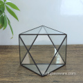 Nhà kính Ban công Vườn kính Hoa Cube Terrarium